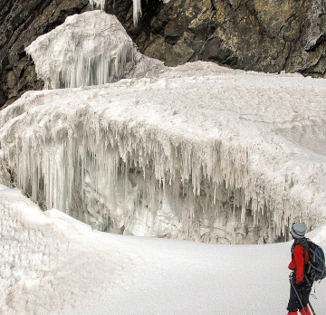 14 days Rwenzori Hike, Savannah & Gorillas