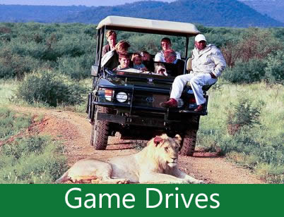 gamedrives