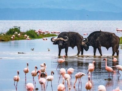 Lake Nakuru National Park