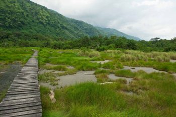 Semuliki National Park uganda nature walk