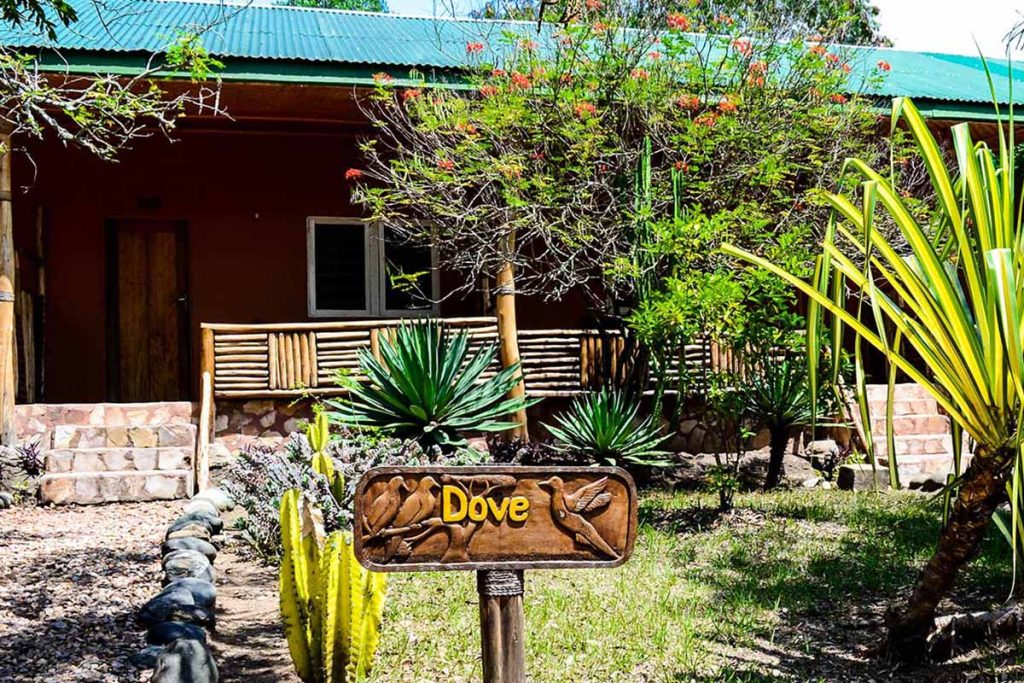 Simba safari camp