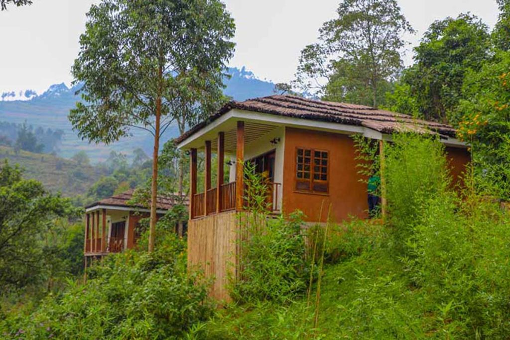 Four Gorillas Lodge