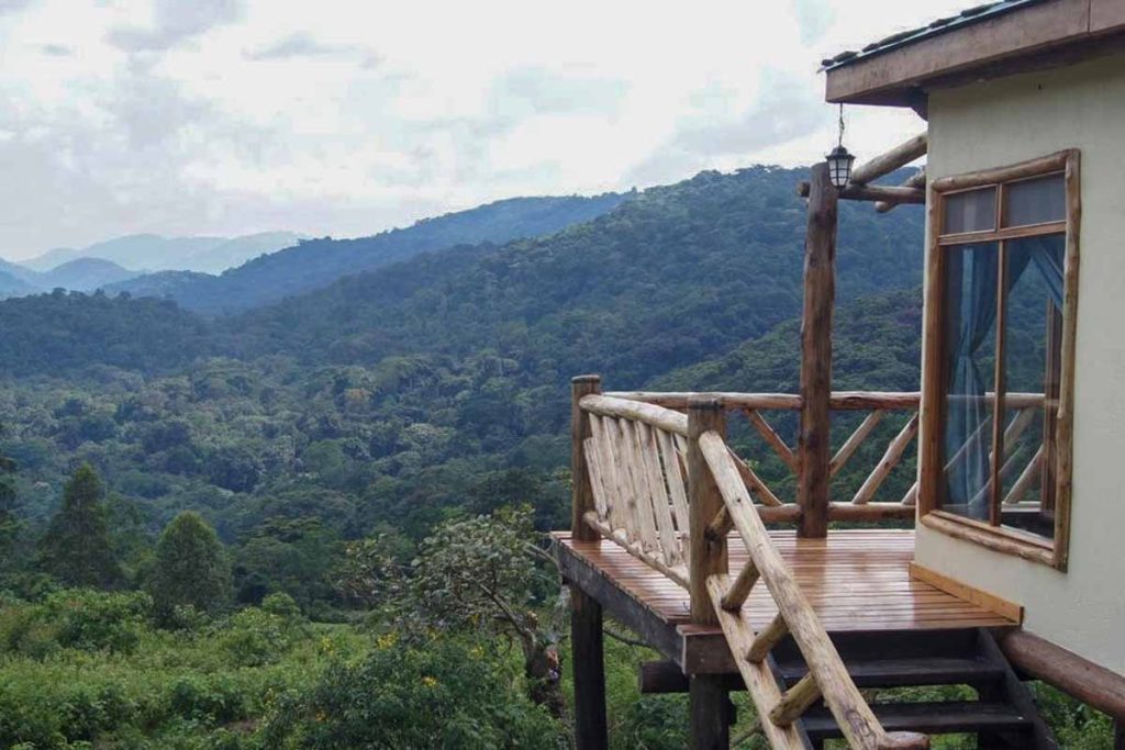Gorilla Friends Lodge
