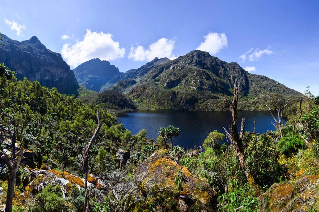 Trekking Through the Mystical "Mountains of the Moon"