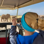 Africa safari reviews